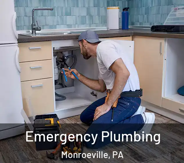  Emergency Plumbing Monroeville, PA