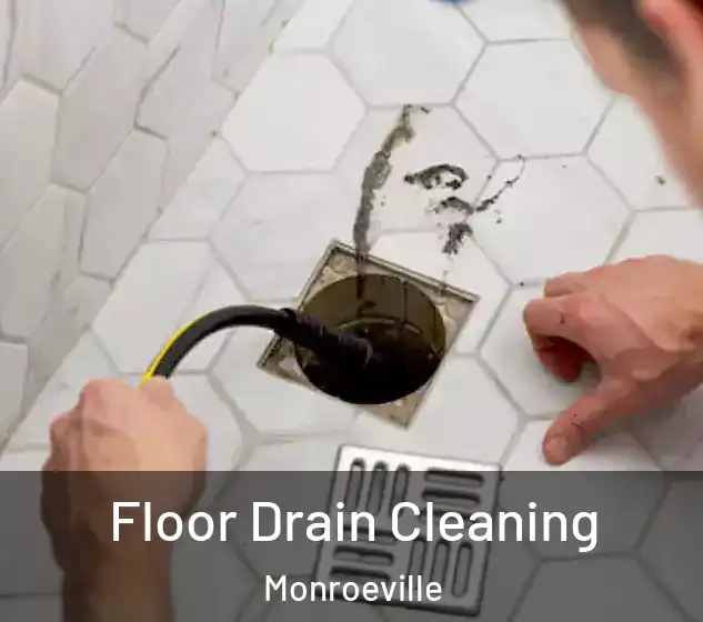  Floor Drain Cleaning Monroeville