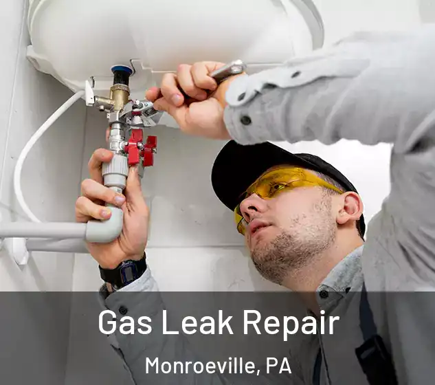  Gas Leak Repair Monroeville, PA