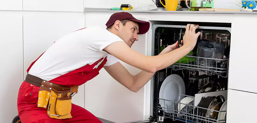 Scope of Kitchen Dishwasher Installation Services in Monroeville, PA