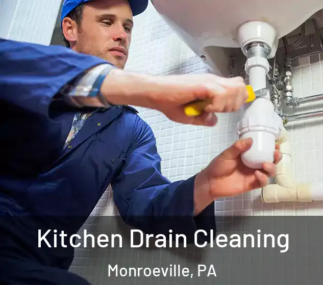  Kitchen Drain Cleaning Monroeville, PA