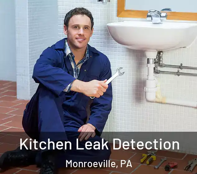  Kitchen Leak Detection Monroeville, PA