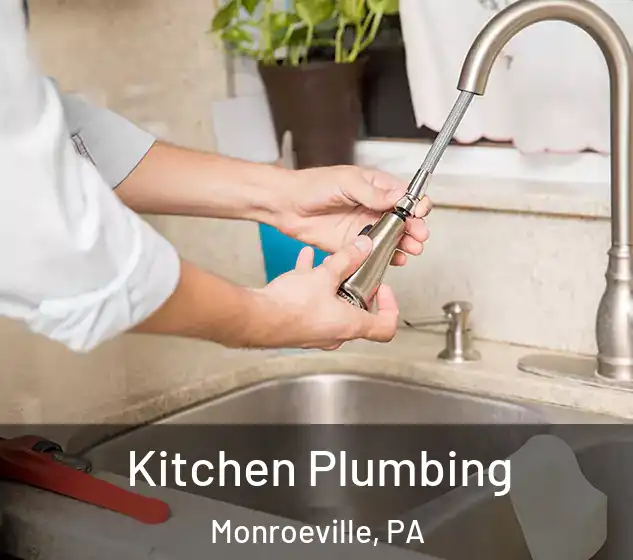  Kitchen Plumbing Monroeville, PA