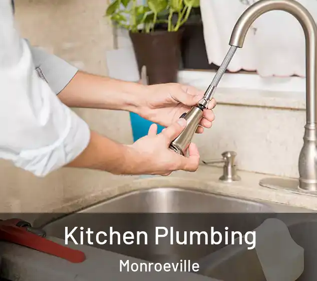  Kitchen Plumbing Monroeville