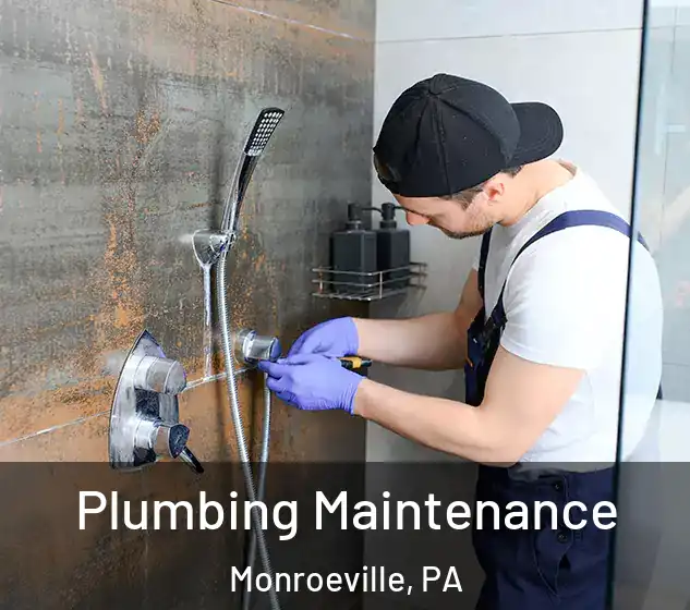  Plumbing Maintenance Monroeville, PA