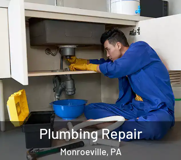  Plumbing Repair Monroeville, PA
