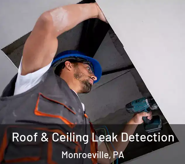  Roof & Ceiling Leak Detection Monroeville, PA
