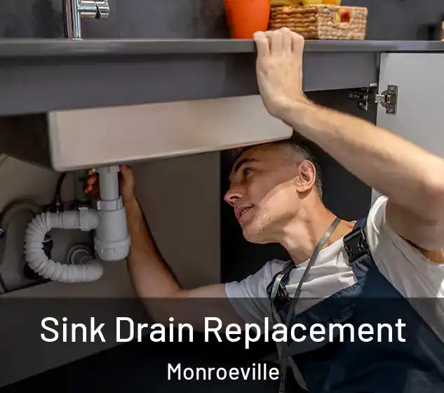  Sink Drain Replacement Monroeville