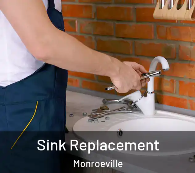  Sink Replacement Monroeville