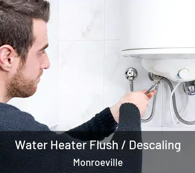  Water Heater Flush / Descaling Monroeville