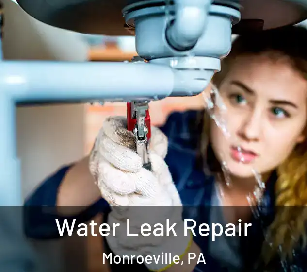  Water Leak Repair Monroeville, PA